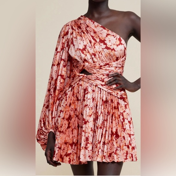 Acler AUROA MINI DRESS - Picture 2 of 9